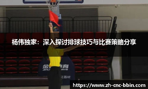 杨伟独家：深入探讨排球技巧与比赛策略分享